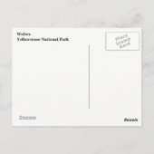 Yellowstone Wolves-Briefkaart Briefkaart (Achterkant)