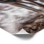 Yellowstone Wolves Fotoprint Foto Afdruk (Hoek)