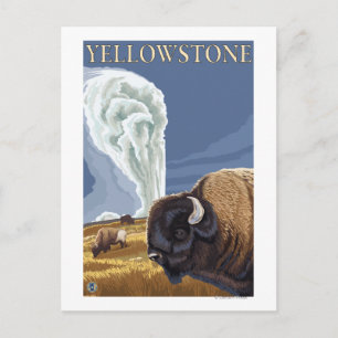 YellowstoneBison met ouderwets getrouw Briefkaart