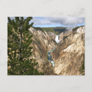Yellowstone's Artist Point Briefkaart