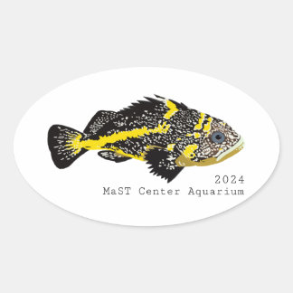 Yellowstripe Rockfish 2024 -Classic Ronde Stickers