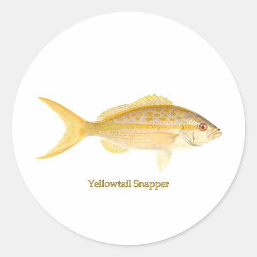 Yellowtail Snapper Logo Ronde Sticker (Voorkant)