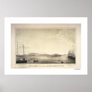 Yerba Buena (nu San Francisco) Poster van de lente