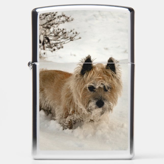Yeti (Voorkant)