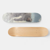 Yeti Skateboard (Horizontaal)
