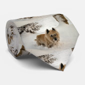 Yeti Stropdas (Opgerold)