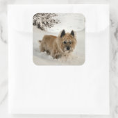 Yeti Vierkante Sticker (Tas)