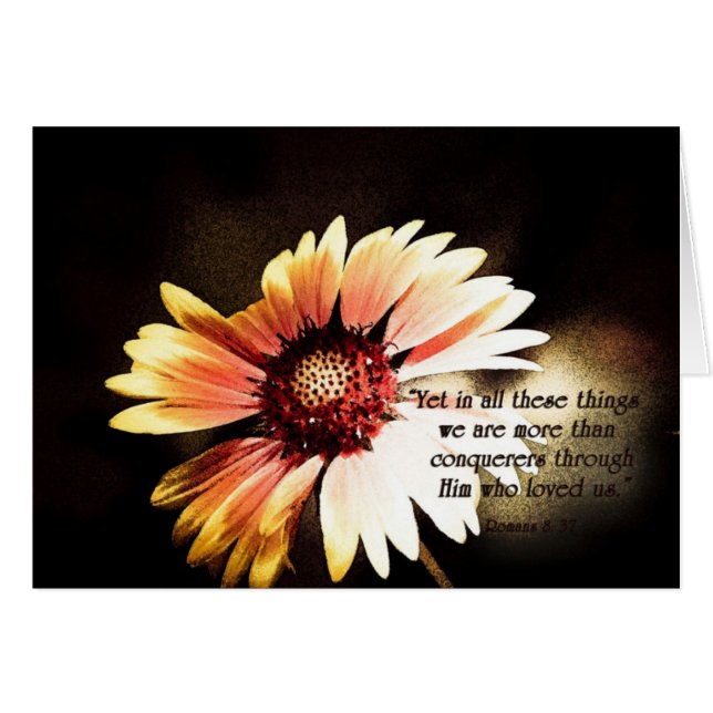 YetinallDezeDingenZazzle (Voorkant Horizontaal)