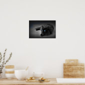 Yeux Bleu Minuit — Affiche d'Art Mural Chat Noir (Cuisine)