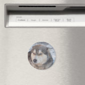 Yeux bleus Husky Magnet (In Situ (Lave-vaisselle))
