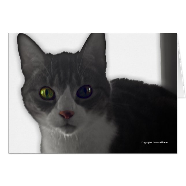 Yeux de chat (Devant horizontal)