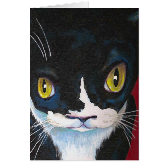 Yeux de chat (Devant)