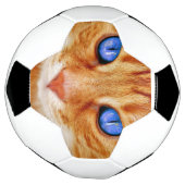 Yeux de chat Face Thon tigre rouge Chat (Tourné)