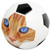 Yeux de chat Face Thon tigre rouge Chat (3/4)