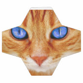Yeux de chat Face Thon tigre rouge Chat (Plat)