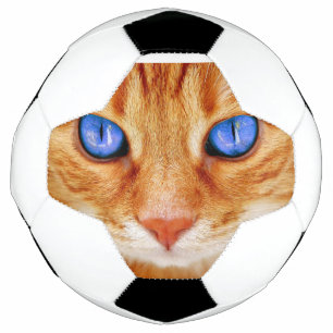 Yeux de chat Face Thon tigre rouge Chat