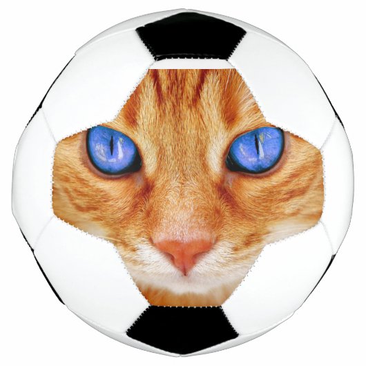 Yeux de chat Face Thon tigre rouge Chat (Devant)