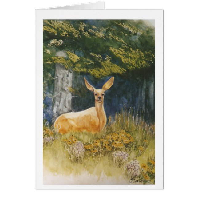 Yeux de daine (Devant)