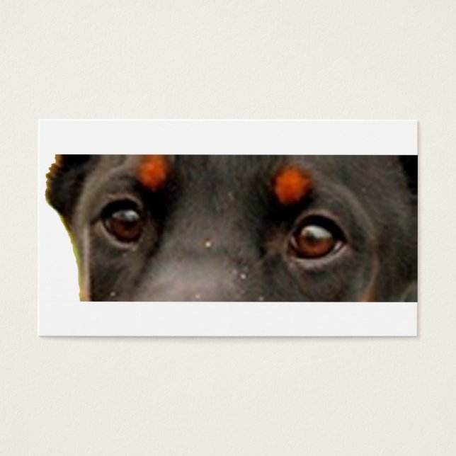 yeux dobie (Devant)