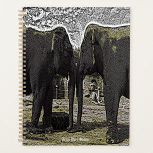 Yeux éléphants