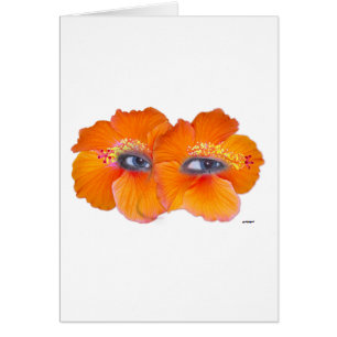 Yeux Hibiscus - Orange