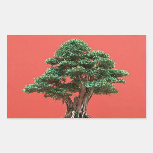 Yew bonsai rechthoekige sticker (Voorkant)