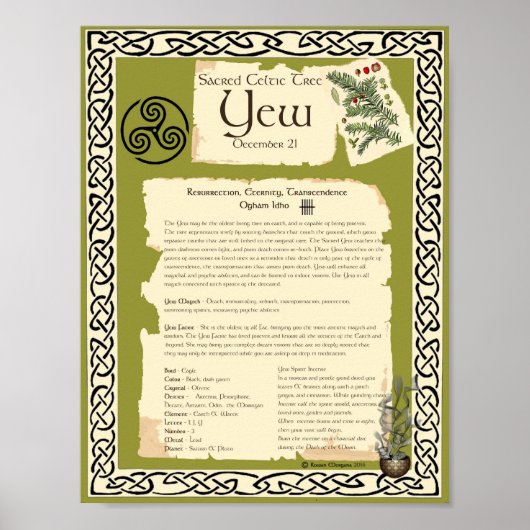 YEW CELTIC SACRED TREE POSTER (Voorkant)