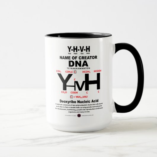 YHVH-DNA Chemical Bond Mok (Rechts)