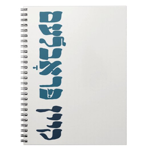Yiddish Kein Problem - No Problemo - Joodse Humor Notitieboek (Voorkant)