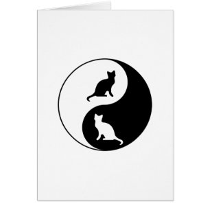 Yin en de Kat van Yang