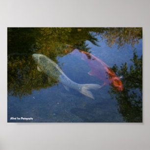Yin en Yang in Zilver en Amber Poster