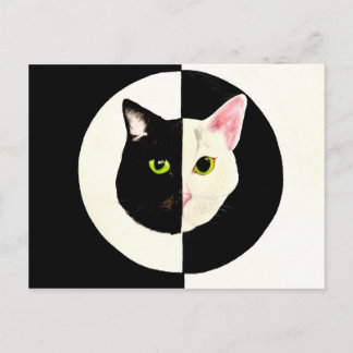Yin en yang zwarte en witte katten schilderen briefkaart