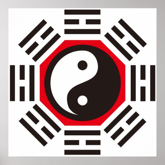 YIN & YANG POSTER (Voorkant)