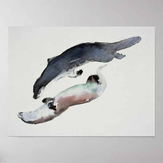 Yin Yang Poster (Voorkant)