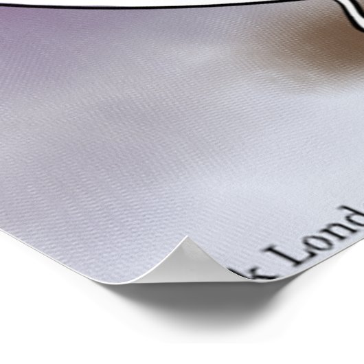 Yin & Yang Rencontrez Funny Zen Poster (Coin)