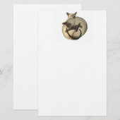 Yin Yang Siamese Kattenbakkerij Briefpapier (Voorkant / Achterkant)