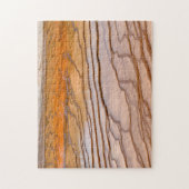 YNP Sources Chaudes Bacterial Flats Puzzle (Vertical)