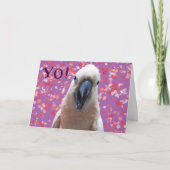 YO! KAART (Voorkant)