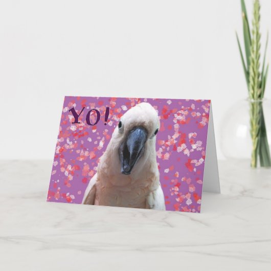 YO! KAART (Voorkant)