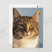 Yoda Briefkaart (Voorkant / Achterkant)