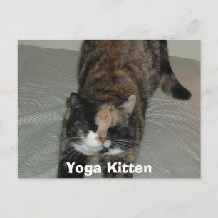 Yoga Calico Cat Briefkaart