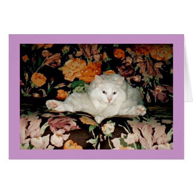 Yoga Cat (Voorkant Horizontaal)