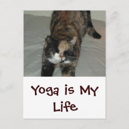 Yoga Cat Briefkaart