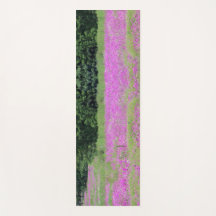 Champ de fleurs de Phlox sauvages sur un tapis de