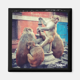 Yoga master, Swayambhunath, Kathmandu - Nepal Magneet