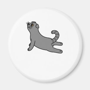 Yoga Pose Scottish Fold Cat Magneet