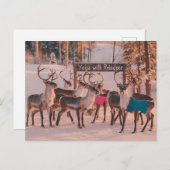 Yoga Rendier Kerstmis Briefkaart (Voorkant / Achterkant)