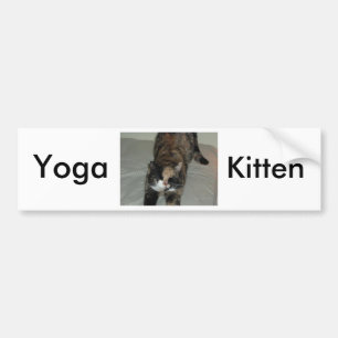 Yoga schildpadkat bumpersticker