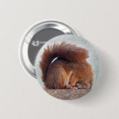Yoga Squirrel Badge Ronde Button 5,7 Cm (Voorkant /achterkant)