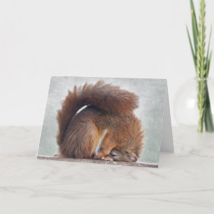 Yoga Squirrel Card Kaart